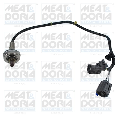 Oxygen Sensor